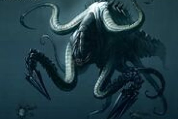 Kraken zerkalo официальный сайт